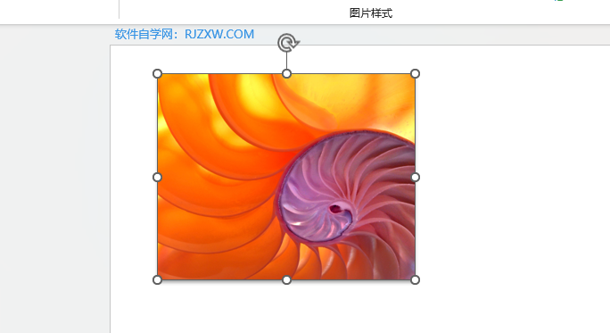 PPT怎么设置图片向下偏移阴影效果第3步