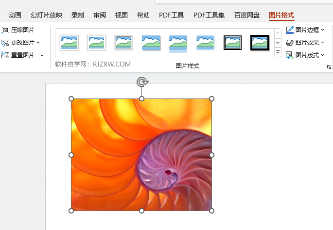 PPT怎么给图片添加密紧映像效果第1步