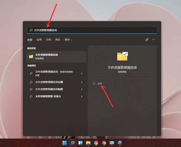 win11文件扩展名怎么显示？win11文件扩展名显示方法详情