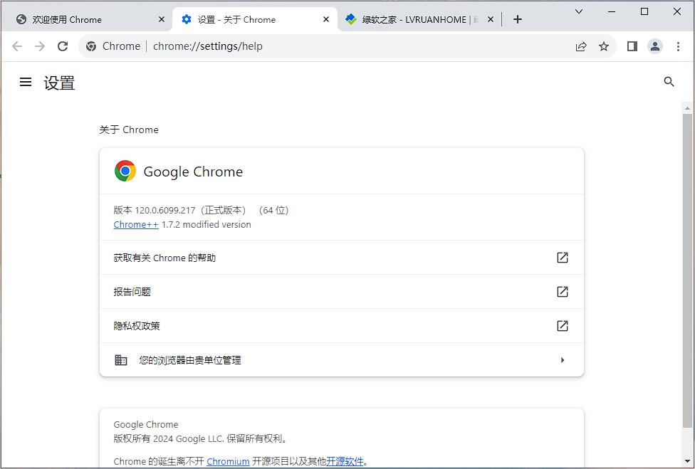 Google Chrome v120.0.6099.217绿色增强版