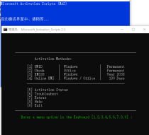 在线实时激活脚本-联网实时更新激活脚本[新人报到]