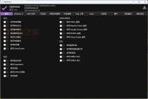 Optimizer系统优化大师v15.4中文版